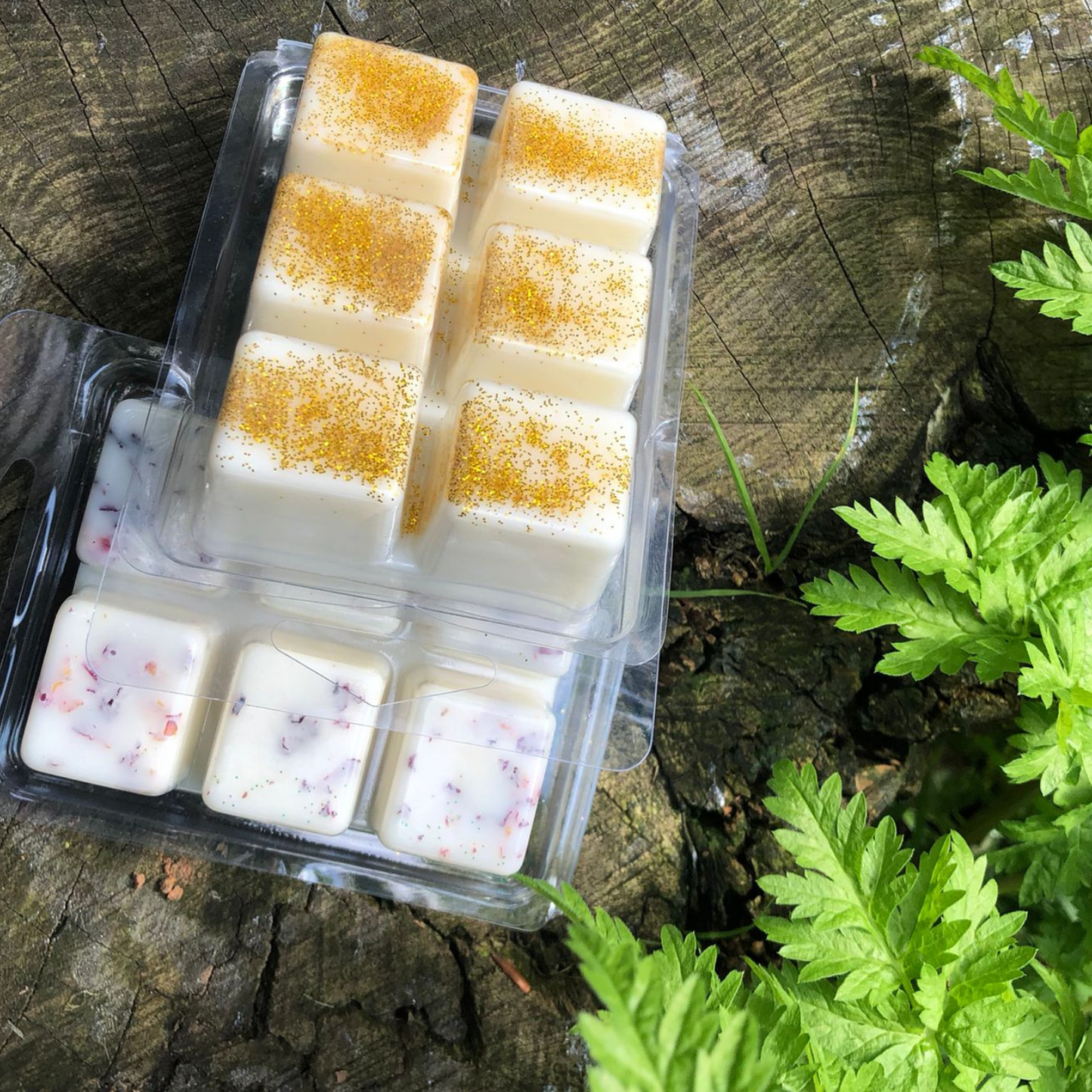 Wax Melts - Clamshell
